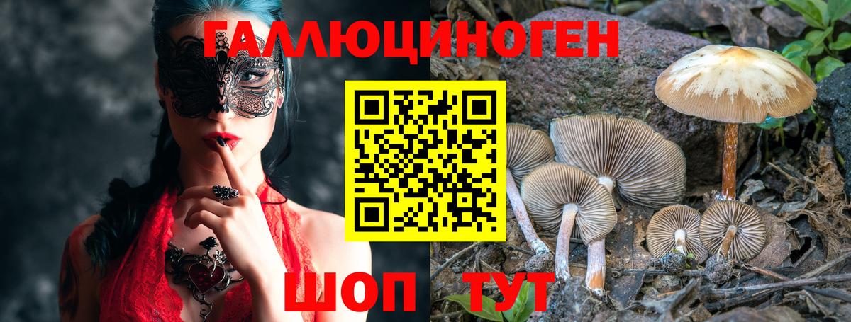 Нурлат  Псилоцибиновые грибы прущие грибы  Галлюциногенные грибы Psilocybe  Вход с VPN 